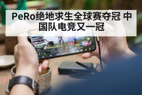 PeRo绝地求生全球赛夺冠 中国队电竞又一冠